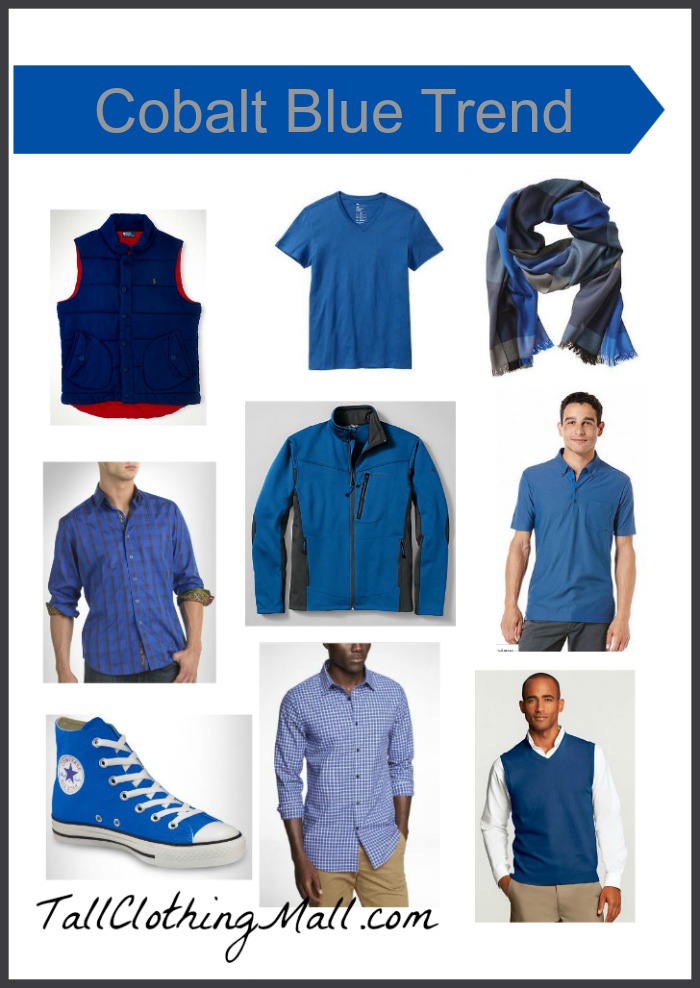 tall cobalt blue trend