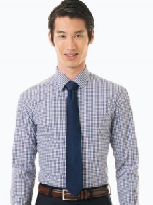 blue and brown gingham