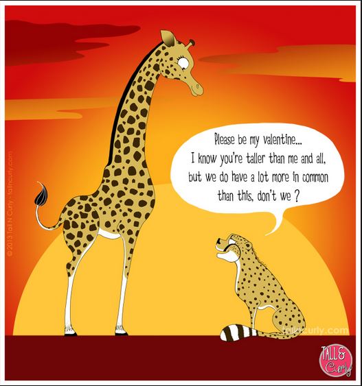 tall n curly valentine's day